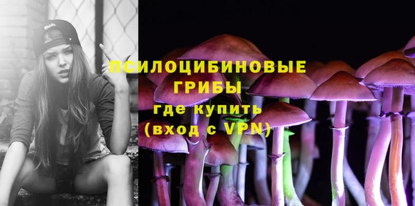 марки lsd Богданович