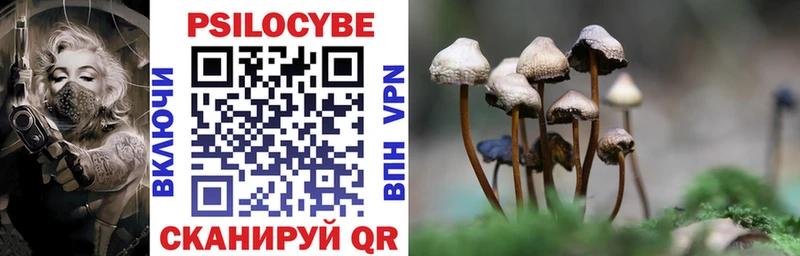 Галлюциногенные грибы Psilocybe Краснозаводск